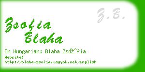 zsofia blaha business card